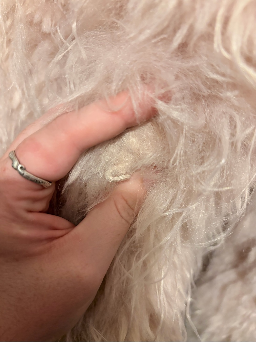 Free People Moonlight Blush Pink Faux Fur Jacket - Picture 3 of 5